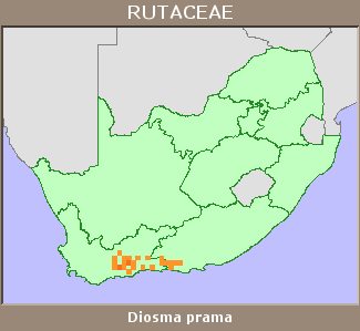 Distribution map