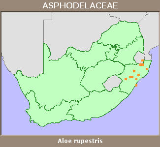 Distribution map