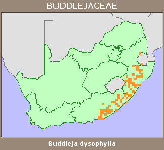 Distribution map