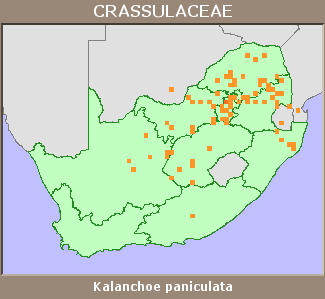 Distribution map