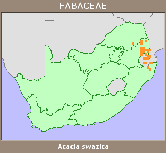 Distribution map