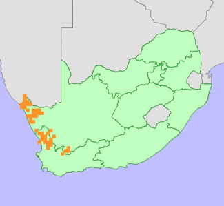 Distribution map