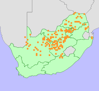 Distribution map