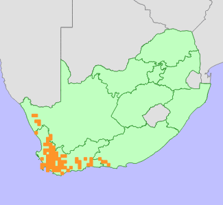 Distribution map