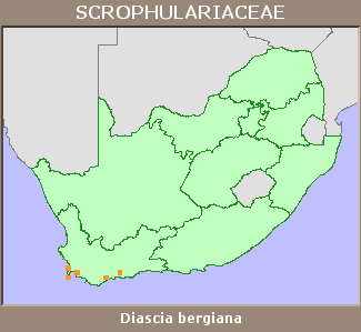 Distribution map
