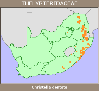 Distribution map