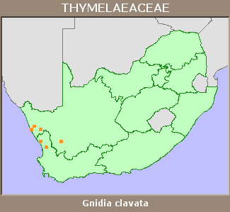 Distribution map