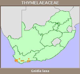 Distribution map