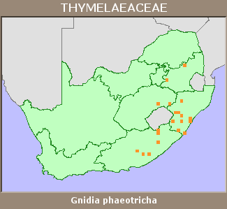 Distribution map