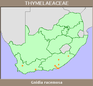 Distribution map