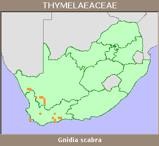 Distribution map