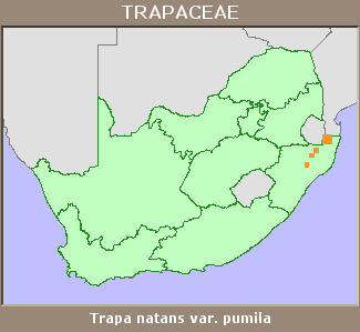 Distribution map