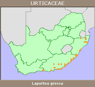 Distribution map