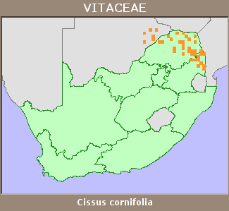Distribution map
