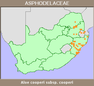 Distribution map