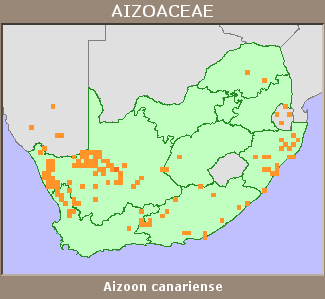 Distribution map