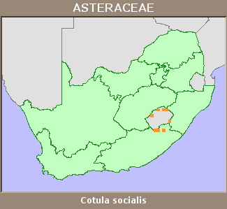 Distribution map