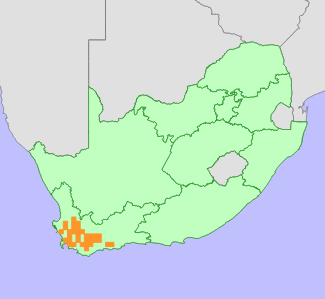 Distribution map