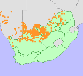 Distribution map