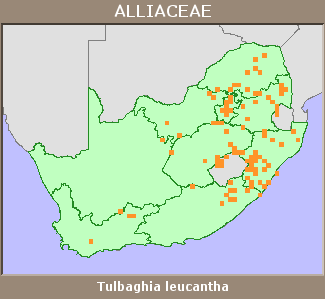 Distribution map