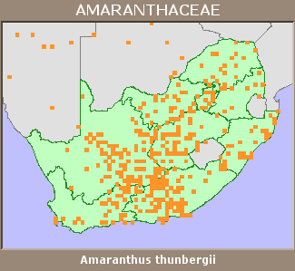 Distribution map