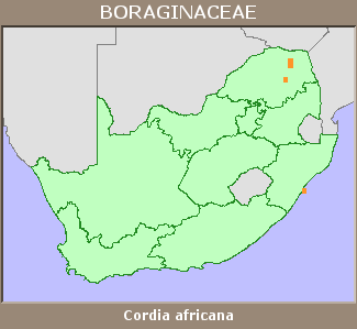 Distribution map