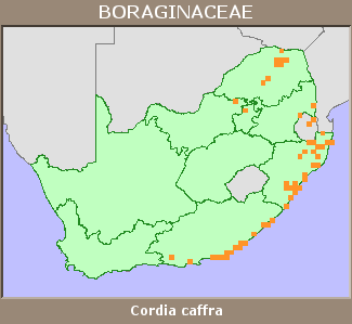 Distribution map