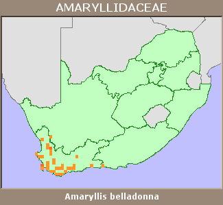 Distribution map