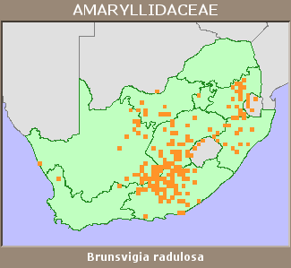 Distribution map