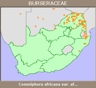Distribution map