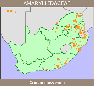 Distribution map