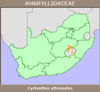 Distribution map