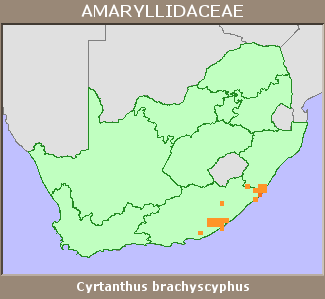 Distribution map