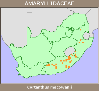 Distribution map