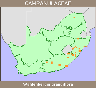 Distribution map