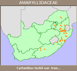Distribution map