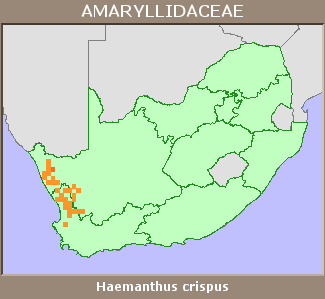 Distribution map