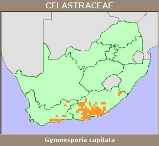 Distribution map