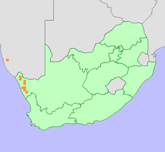 Distribution map