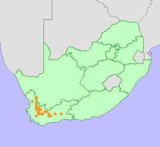 Distribution map