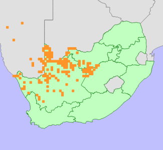 Distribution map