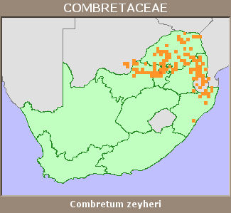 Distribution map