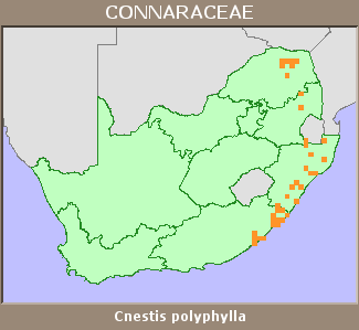 Distribution map