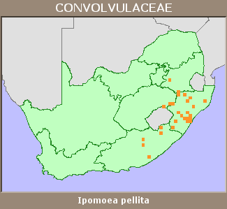 Distribution map