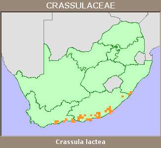 Distribution map