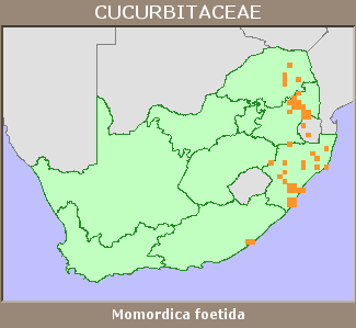 Distribution map