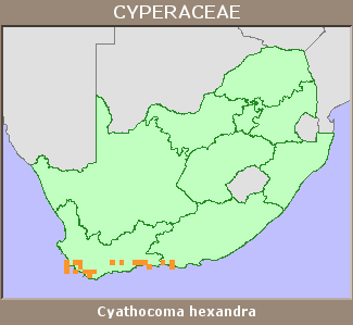 Distribution map