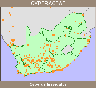 Distribution map