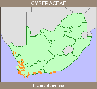 Distribution map