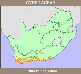 Distribution map